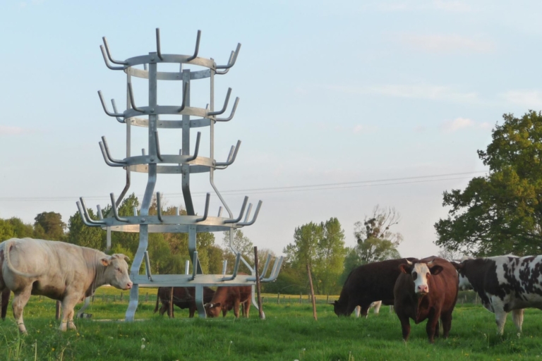 Entre N. Hérisson et M. Duchamp, Lilian Bourgeat, 2011