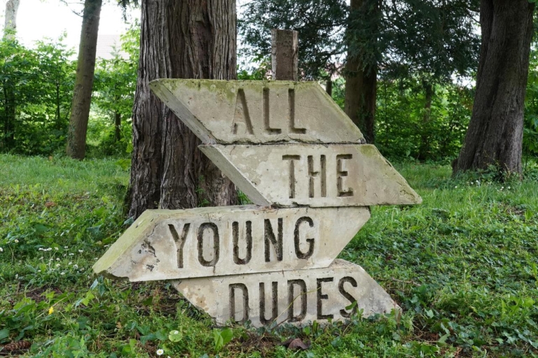 All the young dudes, Neal Beggs, 2012