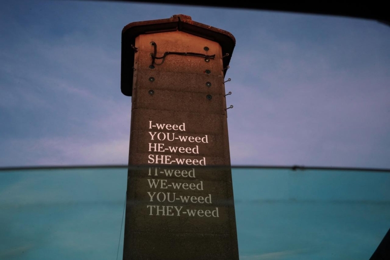 « I-Weed… », Lois Weinberger, 2004-2019