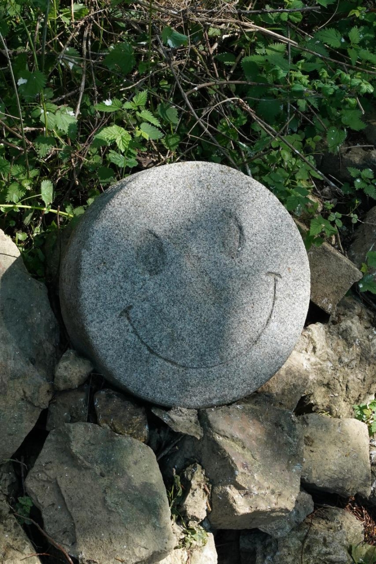 Stoned happy face, Jocelyn Villemont, 2011