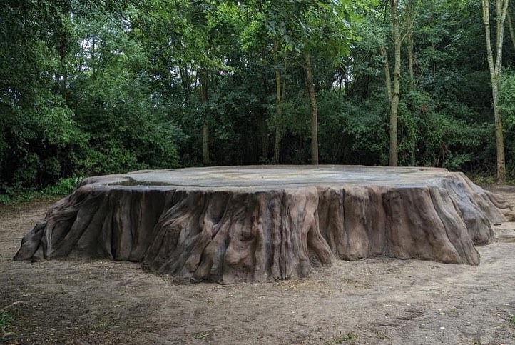 Big Stump, Stéphane Vigny, 2023